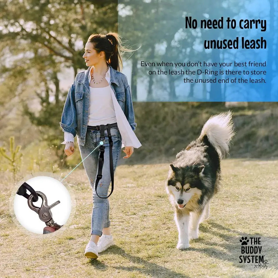Hands Free Adjustable Dog Leash For Running And Training