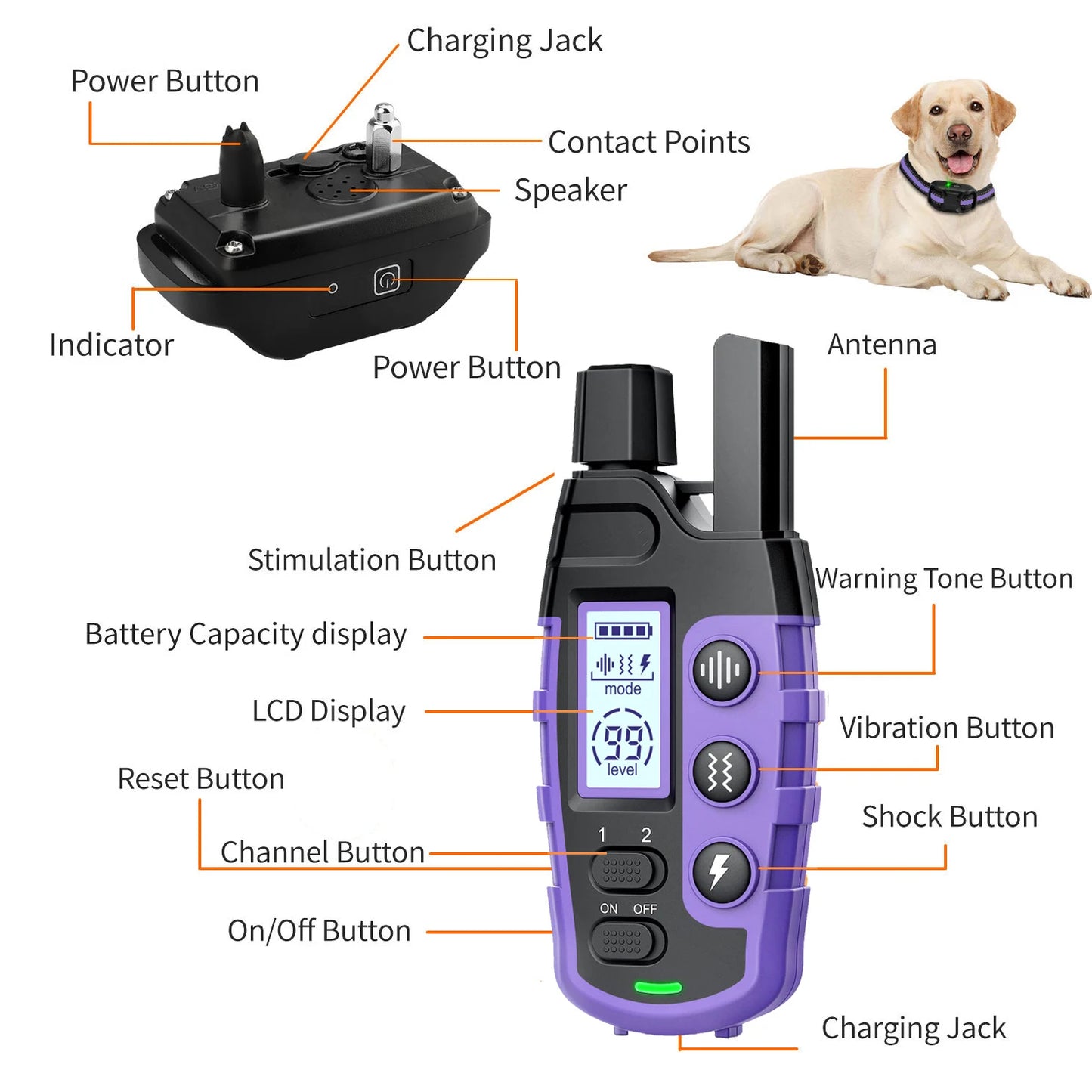 WXRPET 3300Ft Electric Dog Training Collar With Remote Waterproof