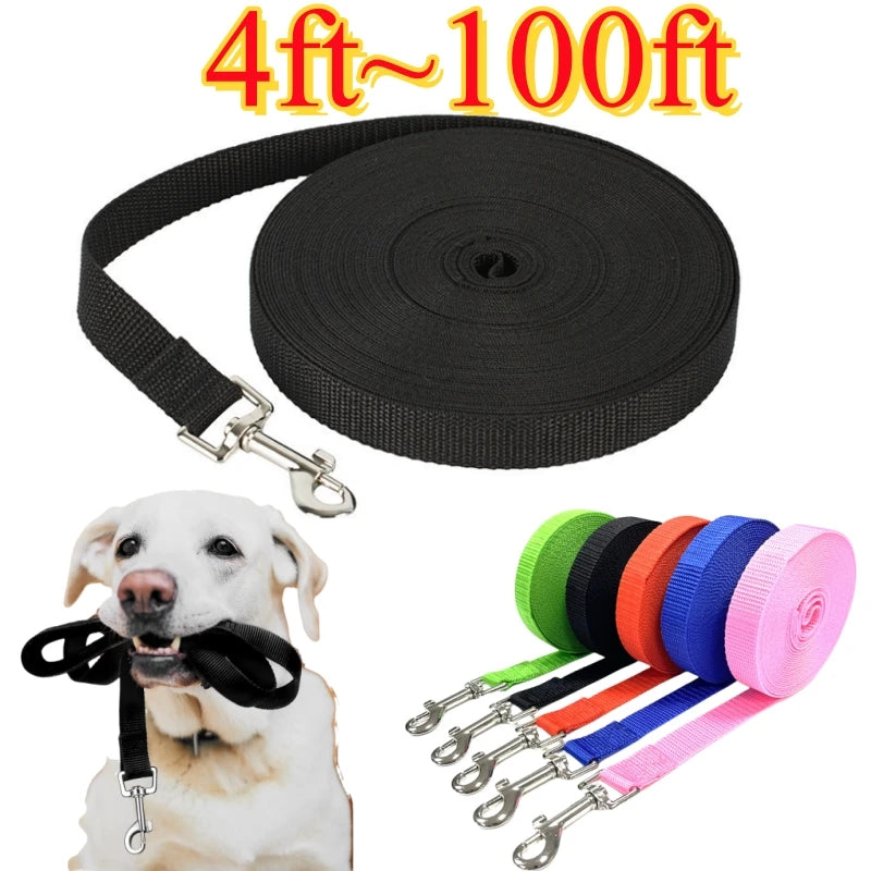 Nylon Dog Leash Training And Outdoor Use For All Dogs