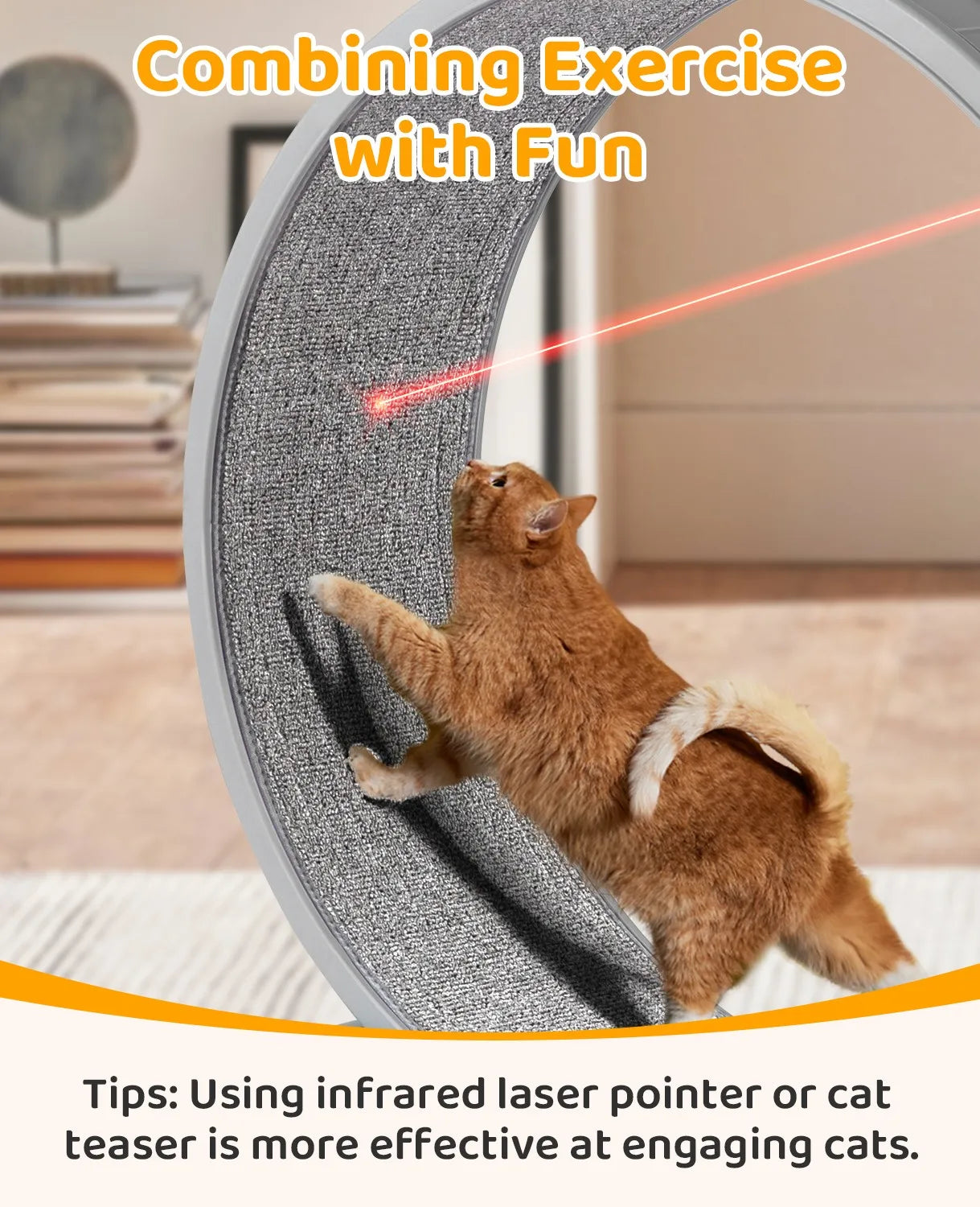 Unbranded Cat Exercise Wheel Treadmill Indoor Running Wheel For Cats