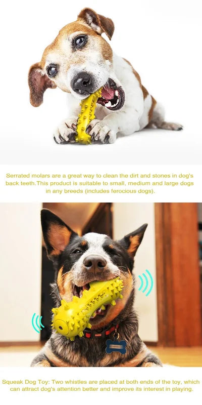 Dog Chew Toys for Aggressive Chewers, Durable Pet Teeth Cleaning Dog Toys