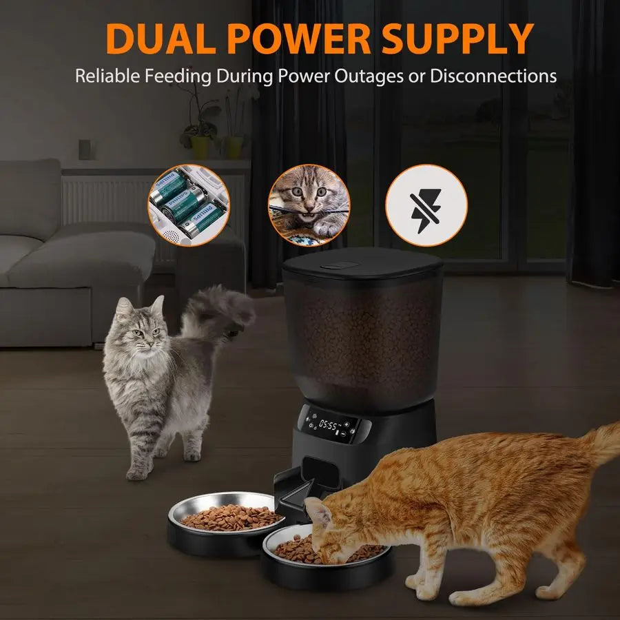 Double Automatic Cat Feeder for Two Cats With Timer and Stainless Bowls