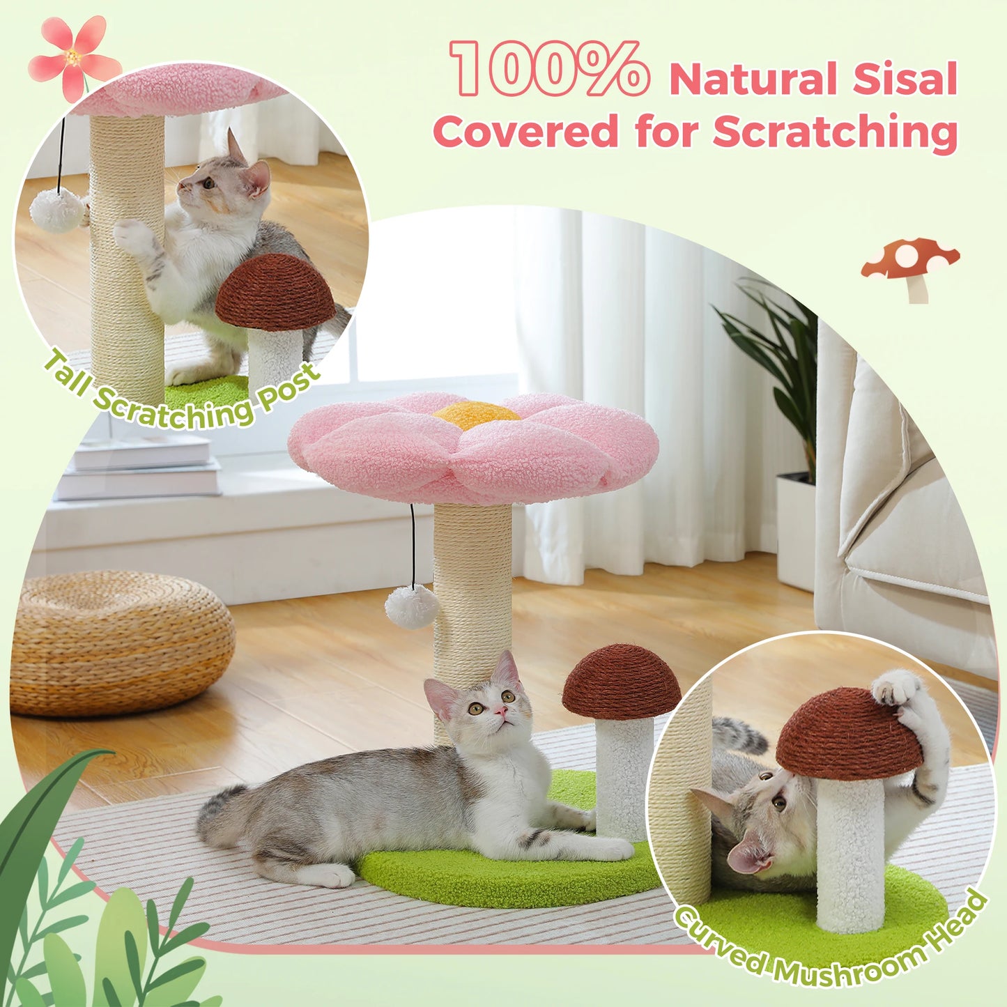 PAWZ Road Small Cat Scratching Post With Removable Flower Bed
