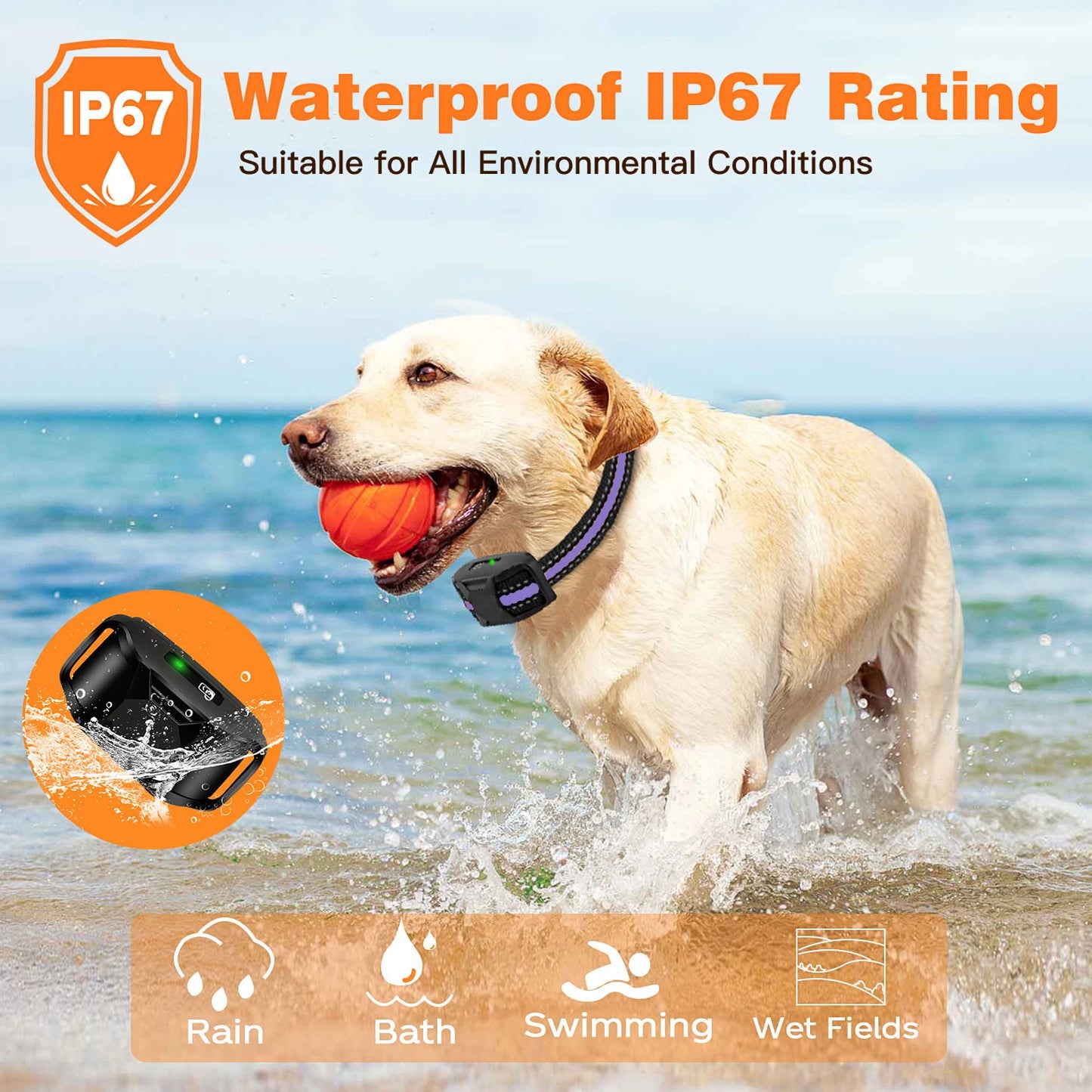 WXRPET 3300Ft Electric Dog Training Collar With Remote Waterproof