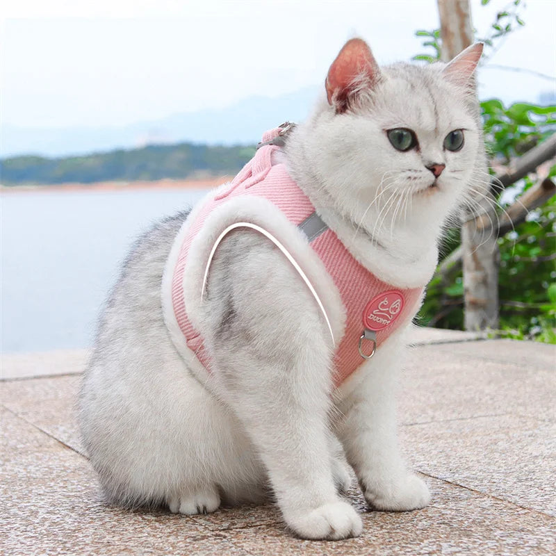 Walking Sphynx Cat Harness Vest With Fur And Leash