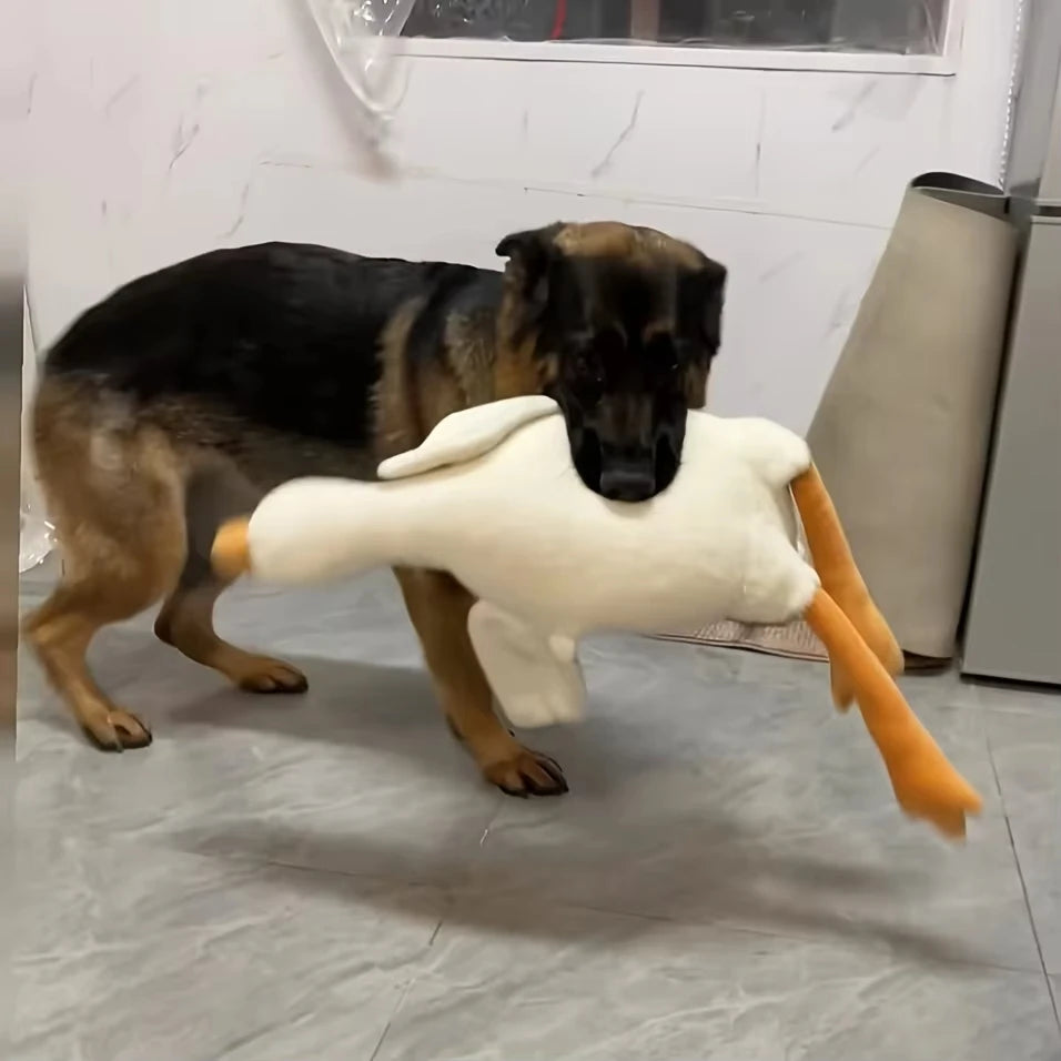 Plush Duck Dog Toy for Chewing and Play