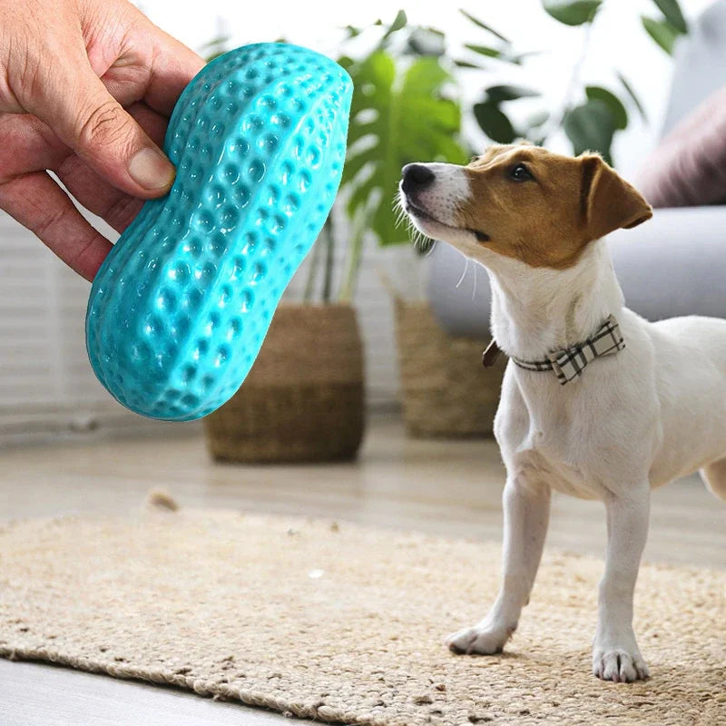 Pet Peanut Squeak Chew Toy For Dogs And Cats Interactive Grinding Teeth