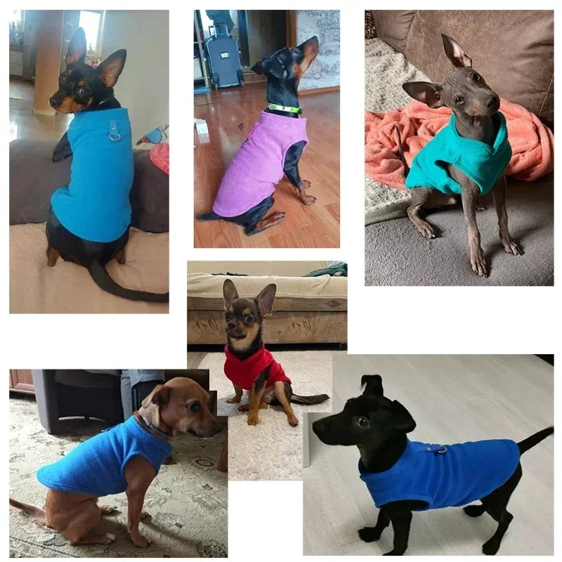 Ultrasoft Fleece Pet Jacket With D Ring For Small Dogs