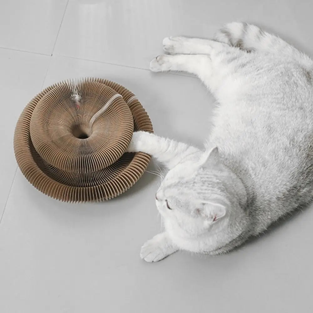 Transformable Kitty Kurlz Cat Toy Wear-Resistant Resistant To Scratching Cat Accordion Magic Organ No Crumbs