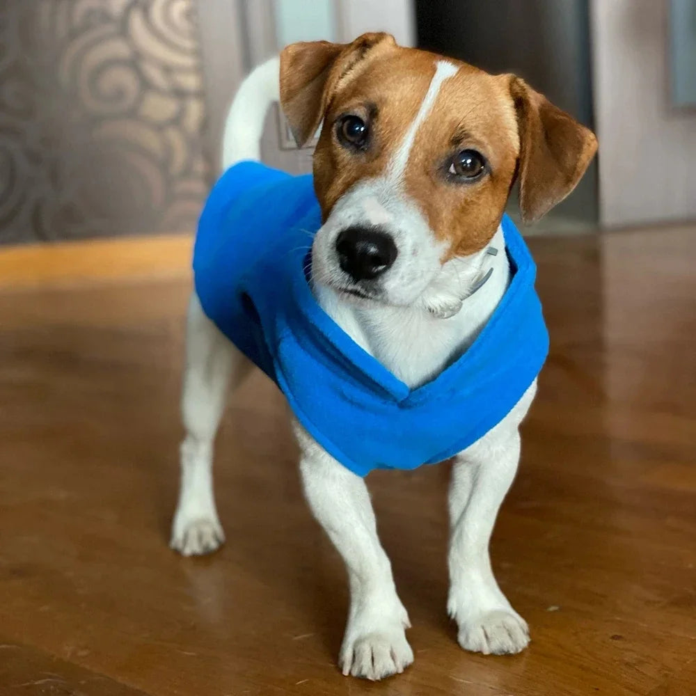 Ultrasoft Fleece Pet Jacket With D Ring For Small Dogs