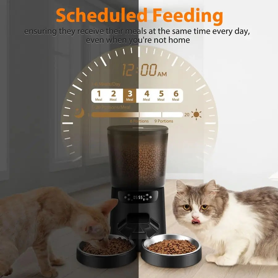 Double Automatic Cat Feeder for Two Cats With Timer and Stainless Bowls