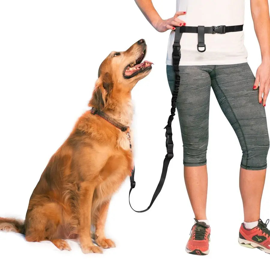Hands Free Adjustable Dog Leash For Running And Training