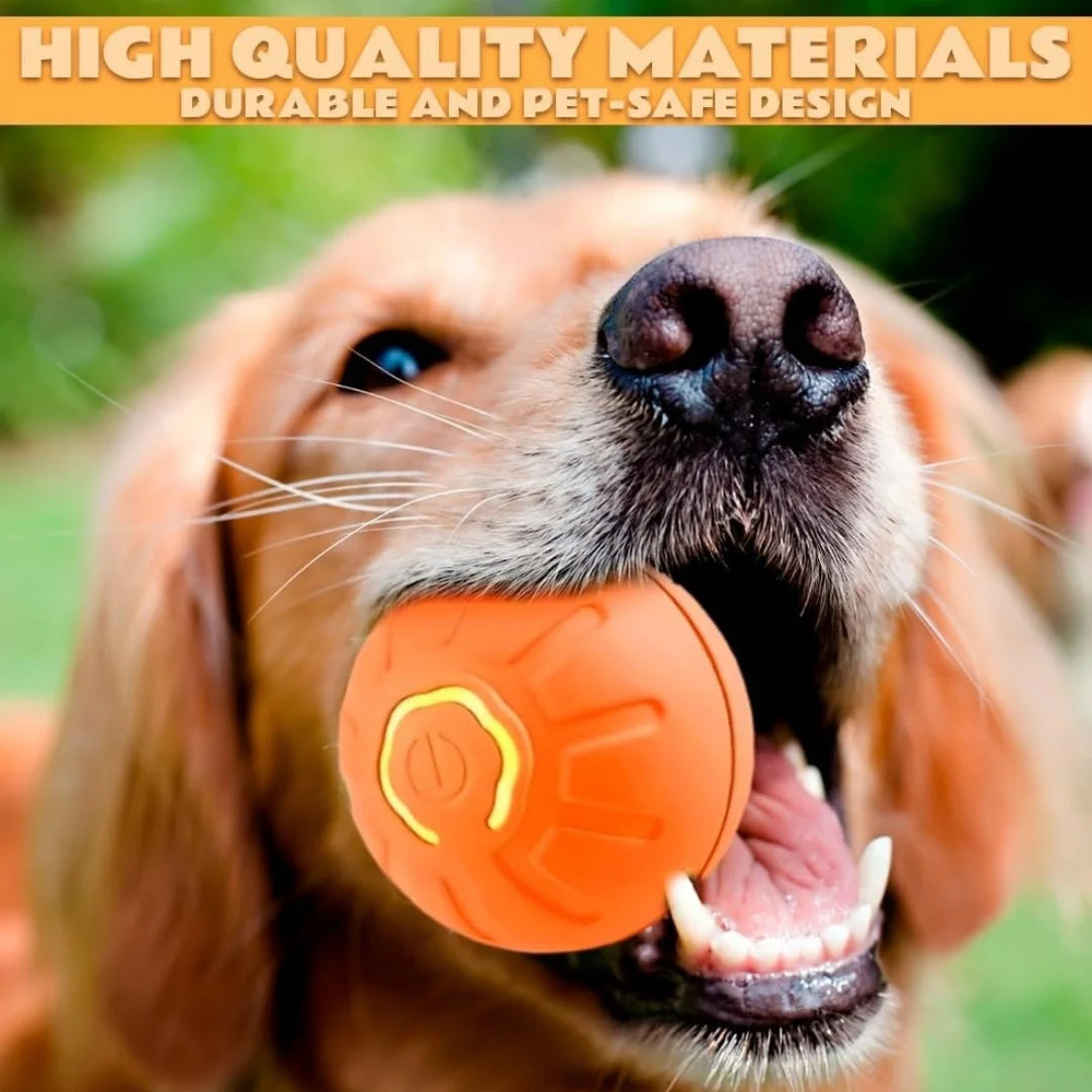 Smart Bouncing Electric Pet Ball for Cats and Dogs