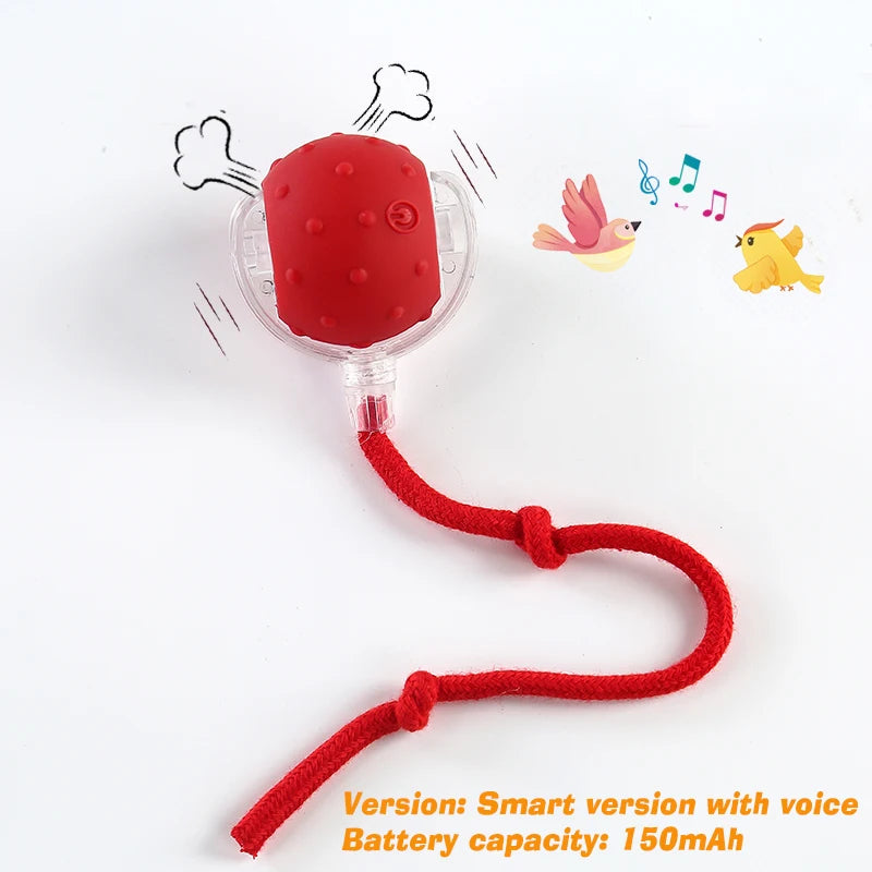 New Dog Interactive Ball Toy Automatic Rolling Ball