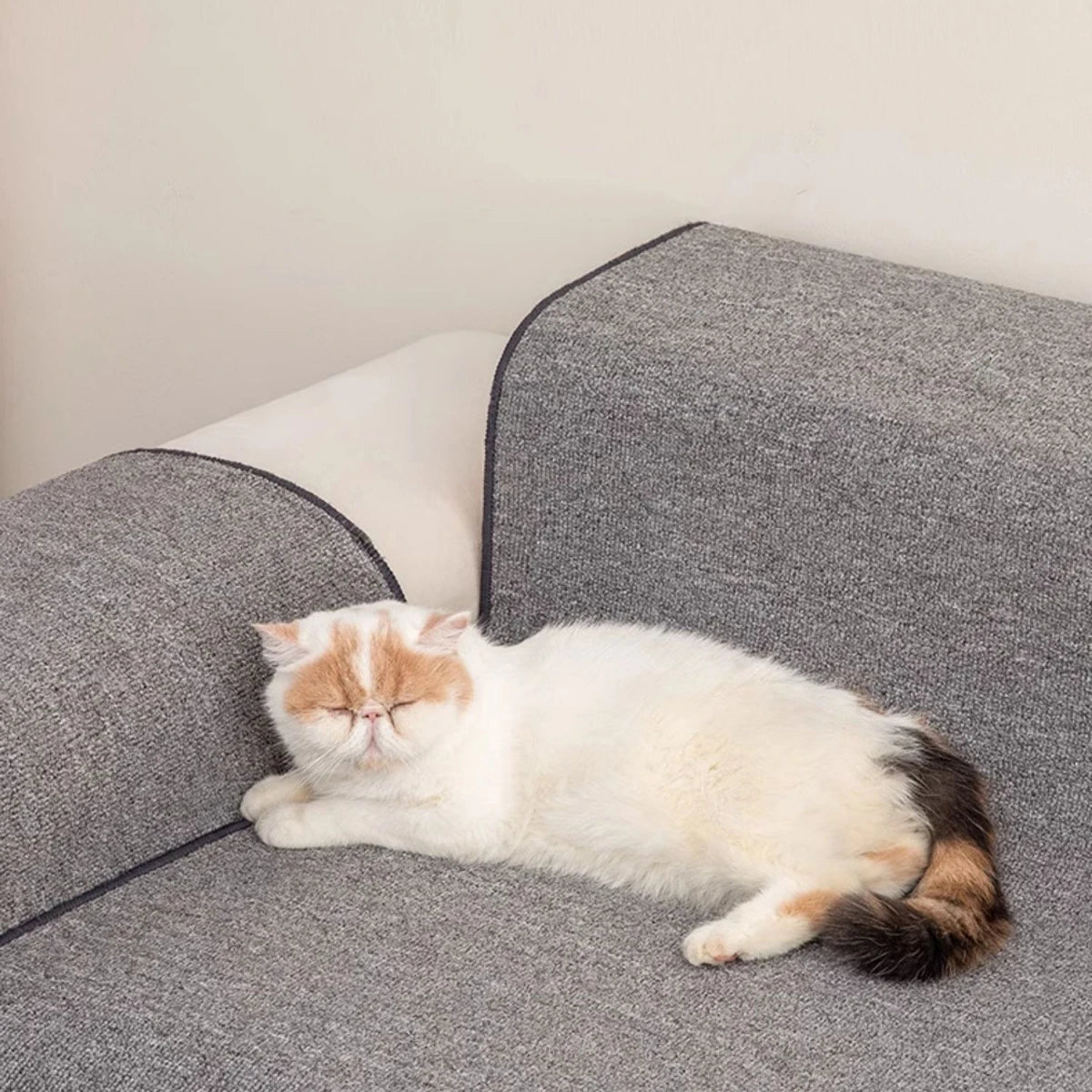 NONECN Cat Scratching Mat Carpet Non Slip Bed Sofa Protector