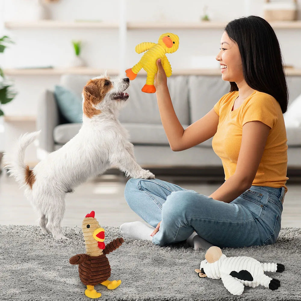 Plush Dog Squeaky Toys Assortment Stuffed Chew Pet Toy