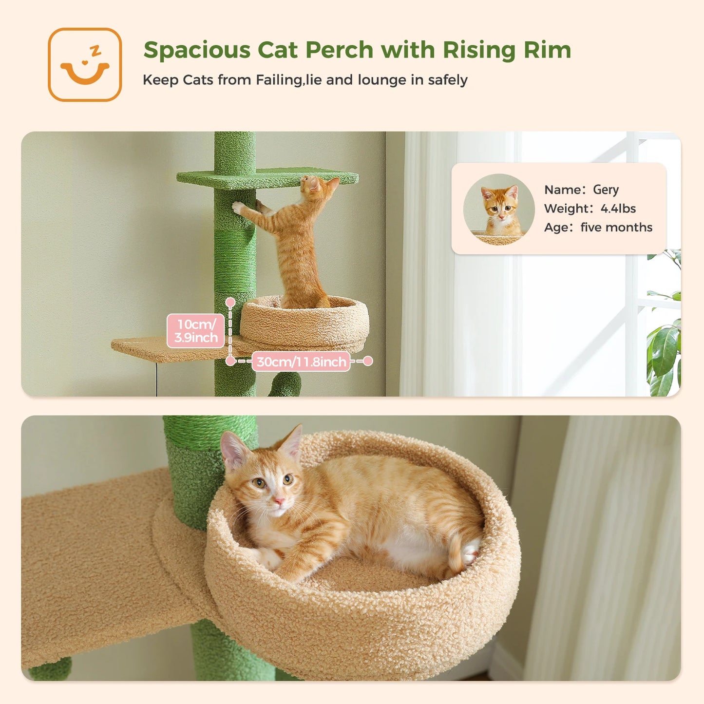 PEQULTICN Cactus Cat Tree Adjustable Height For Indoor Cats