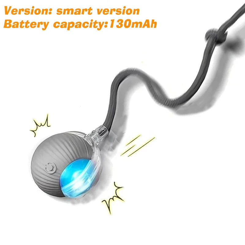 New Dog Interactive Ball Toy Automatic Rolling Ball