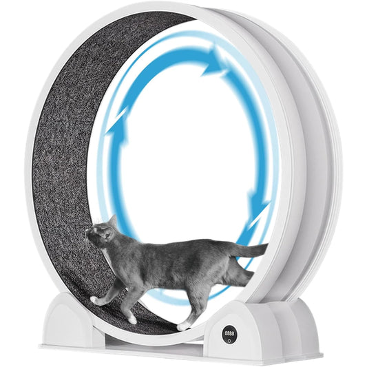 HiMISS Cat Exercise Wheel With Pedometer And Removable Mat Fitness