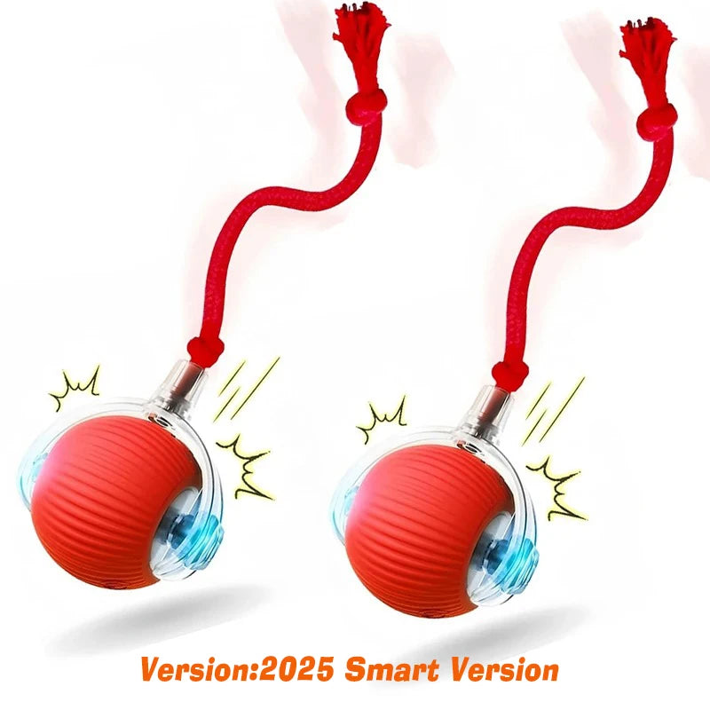 New Dog Interactive Ball Toy Automatic Rolling Ball
