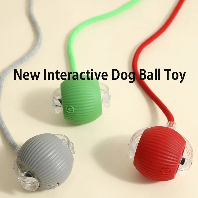New Dog Interactive Ball Toy Automatic Rolling Ball