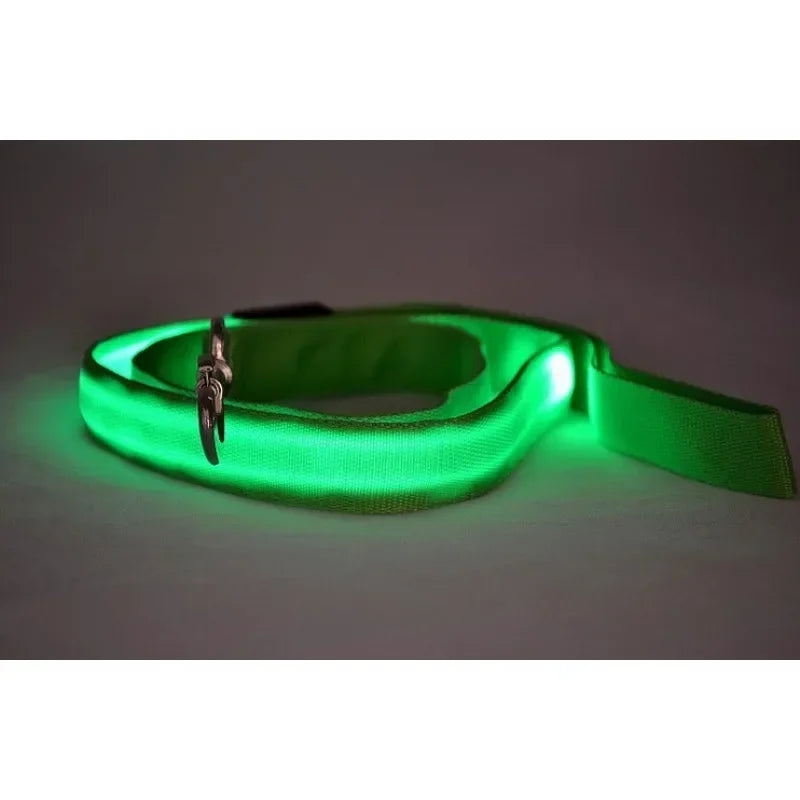 Led Light Up Dog Leash With Luminous Rope Safety Glow