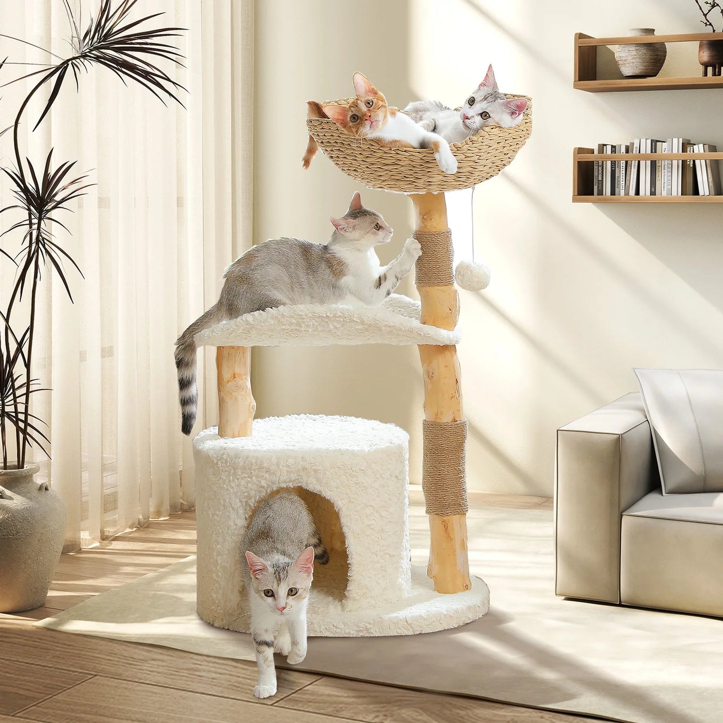 PEQULTICN Solid Wood Cat Tree With Spacious Condo And Perches