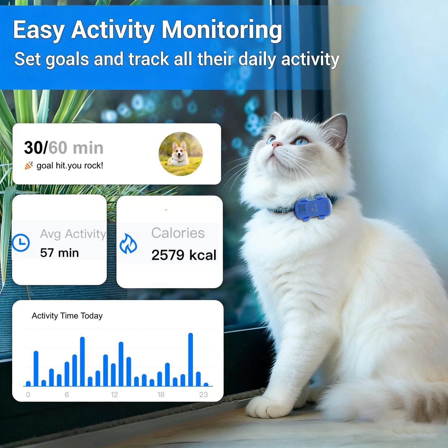 WANWAYTECH GPS Pet Tracker Real Time Tracking with Unlimited Range