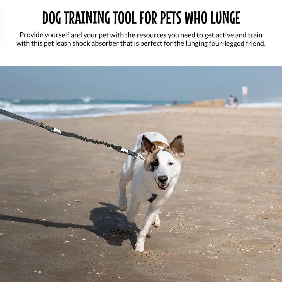 Hands Free Adjustable Dog Leash For Running And Training