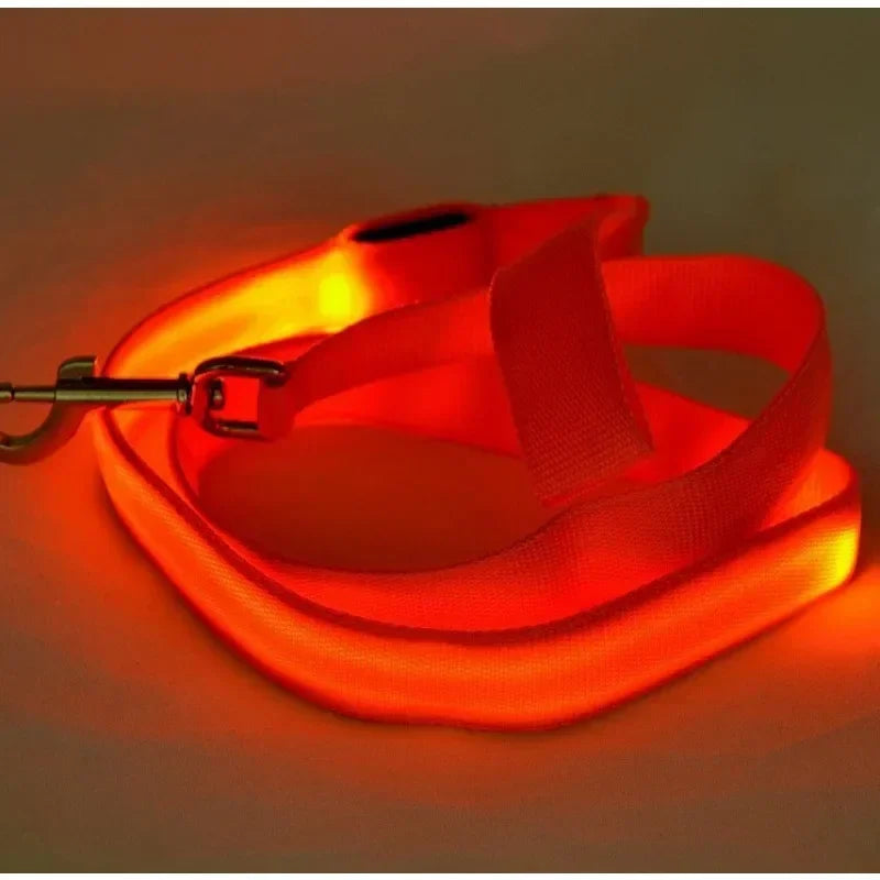 Led Light Up Dog Leash With Luminous Rope Safety Glow