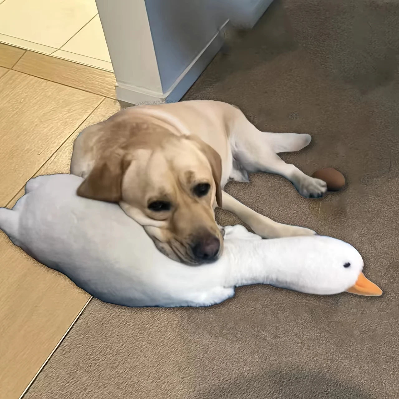 Plush Duck Dog Toy for Chewing and Play