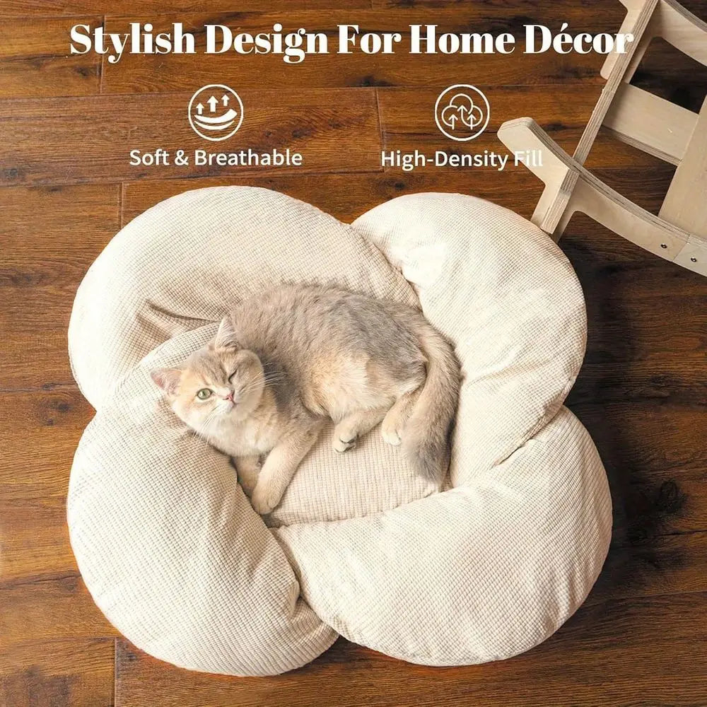 Dog Bed Cat Condo Pet Sofa With Wooden Cushion Lounge
