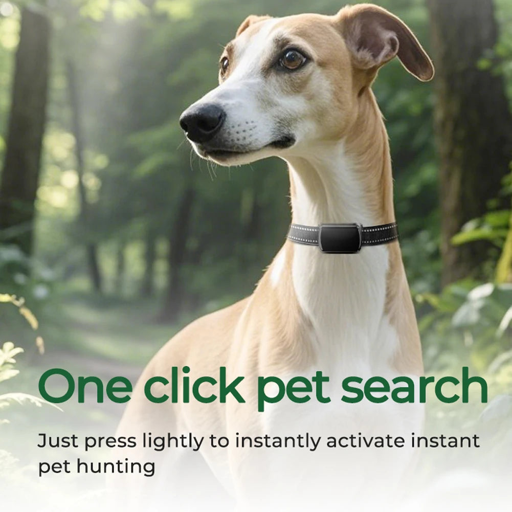 Pet GPS Tracker with Adjustable Collar Smart Pet Locator Cat Tracker for Cats and Dogs