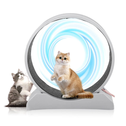 Unbranded Cat Exercise Wheel Treadmill Indoor Running Wheel For Cats