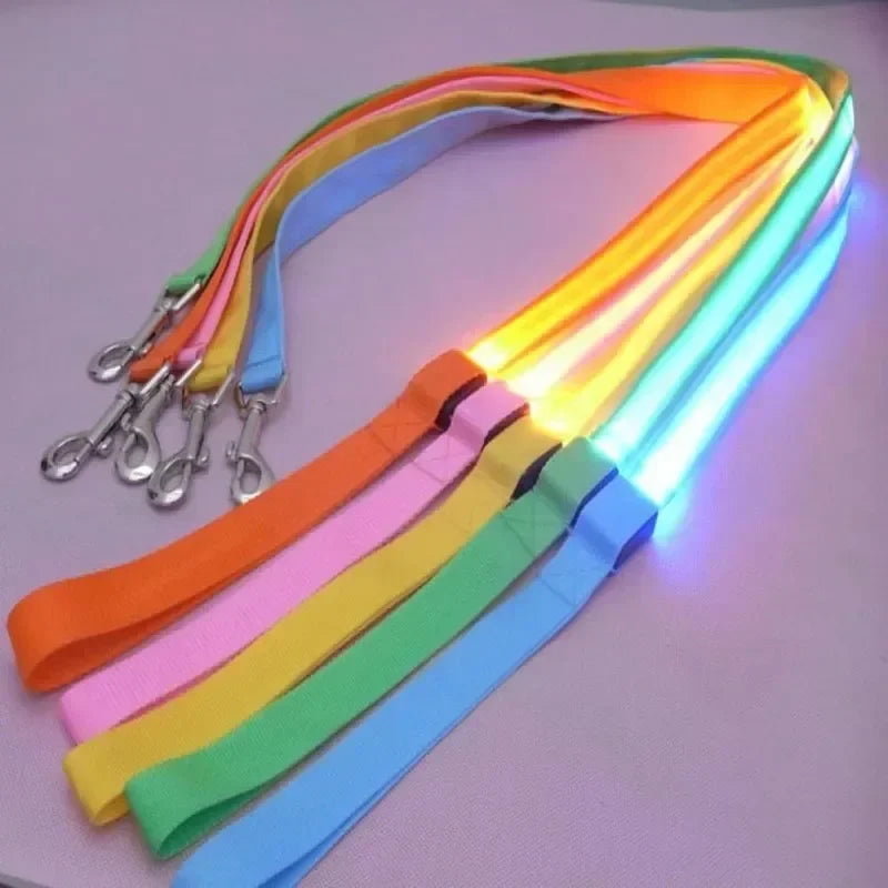 Led Light Up Dog Leash With Luminous Rope Safety Glow