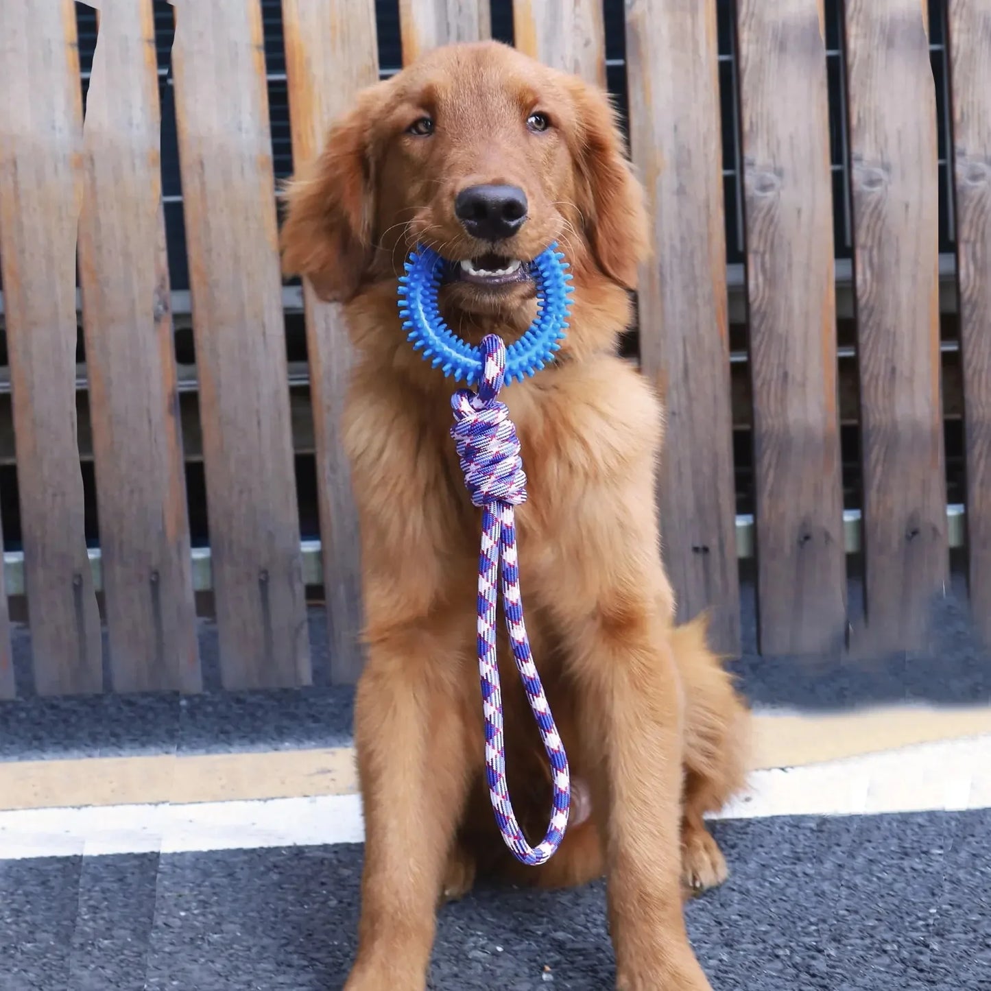 Durable Dog Chew Rope Toy With Nylon And Rubber Knot